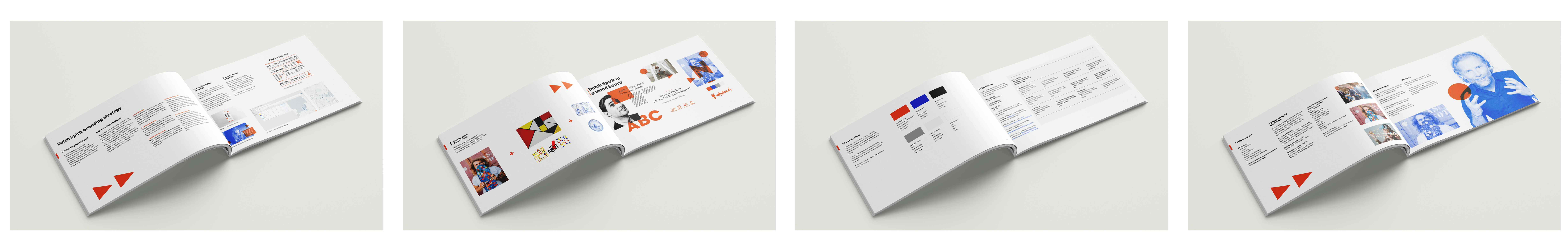 ds manuals